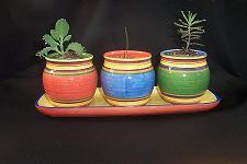 Pregnancy_20plants-3