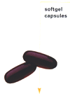 Nf_borageoil_caps